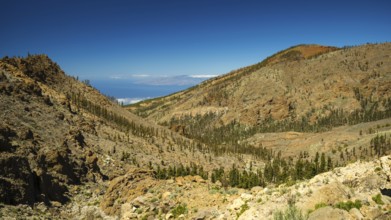 Parque Nacional de las Canadas del Teide, Teide National Park, UNESCO World Heritage Site,