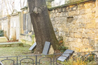 The Trinitatisfriedhof cemetery in Dresden's Johannstadt district is one of the city's burial