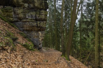 Polenztal in Saxon Switzerland, Hohnstein, Saxony, Germany, Europe