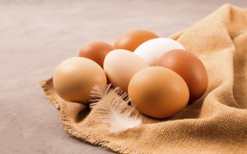 Fresh eggs, brown, on burlap, no people, horizontal