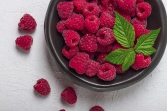 Fresh raspberries, on a black plate, with leaves, top view, on a white table