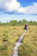 Hikers on a footpath on a bog looking at the beautiful landscape, Sweden, Europe