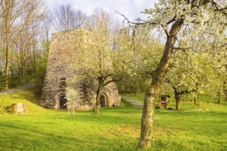 Fruit blossom near Maxen in the Eastern Ore Mountains at the historic lime kiln, Maxen, Saxony,