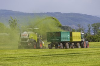 A Claas Jaguar 940 forage harvester at Grasmad in a field near Bannewitz, Bannewitz, Saxony,