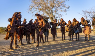 Group of traditional Himba woman standing in a semi-circle, clapping and dancing, music and dance,