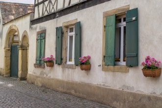 Facade of an old winegrower's house, Deidesheim, Palatinate, Rhineland-Palatinate, Germany, Europe