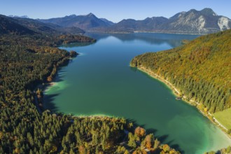 Aerial view of a mountain lake and autumnal coloured trees in the morning light, Walchensee, view