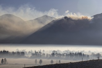 Forest fire, smoke, fire at Jochberg 2017, Alpine foothills, Upper Bavaria, Bavaria, Germany,