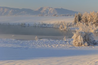 Lake in front of mountains in the morning light, fog, snow, winter, Riegsee, view of Hörnle,