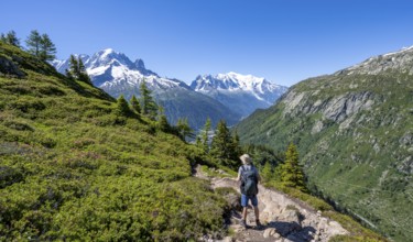 Mountaineer on hiking trail, mountain panorama with glaciated mountain peaks, Aiguille Verte with