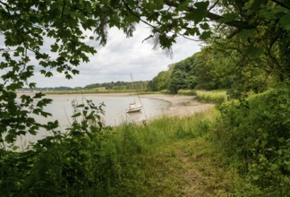 Landscape view of boat at moorings on River Deben, Sutton, Suffolk, England, UK