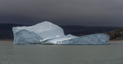 Floating iceberg, Scoresbysund or Kangertittivaq in Greenlandic, the largest and longest fjord