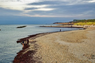 Baltic Sea beach, walkers on the Baltic Sea coast on Wustrow beach in the evening light, evening