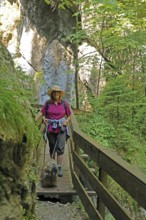 Seisenbergklamm gorge, natural monument, Pinzgau, Salzburger Land, Austria, Europe