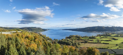 Aerial view, panorama of the Stockach Aach estuary with autumnal vegetation at the northwest bay of