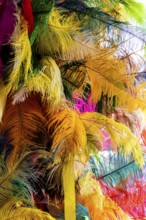 Various colorful feathers and plumes that will be used in the making of carnival costumes in Brazil