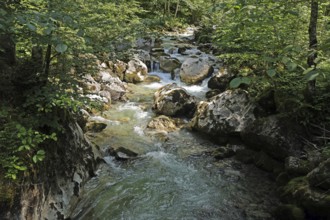 Seisenbergklamm gorge, natural monument, Pinzgau, Salzburger Land, Austria, Europe