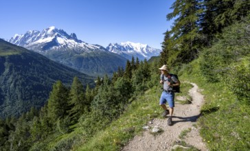 Mountaineer on hiking trail, mountain panorama with glaciated mountain peaks, Aiguille Verte with