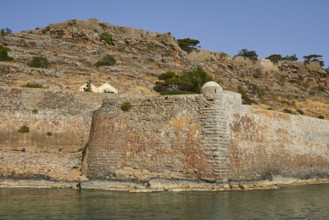 Historic stone wall on the coast with rocky landscape and sea view, Venetian sea fortress, Leper