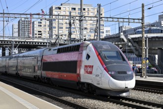 Altstetten station TGV France-Switzerland passenger train, Switzerland, Europe