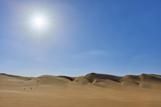 Sunny desert landscape with sand dunes tourist group, under clear blue sky, Matruh, Great Sand Sea,