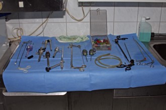 Vet, castration of a dog, male dog, surgical instruments