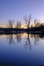 Sunset at the wet meadows, pond, Seeachtn near Machtlfing, Fünfseenland, Upper Bavaria, Bavaria,