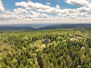 A small observation tower stands out in the middle of a vast green forest under a slightly cloudy