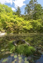 Tenjuan Garden, Nanzen-ji temple complex, Kyoto, Japan, Asia