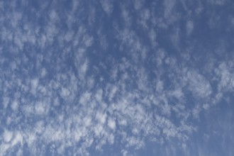 Cumulus white clouds in a blue sky, England, United Kingdom, Europe