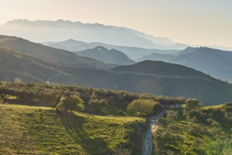 Hilly spring landscape with trees against the light in the late afternoon, mountains in the