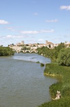 Town view Zamora, in front the Romanesque bridge Puente de Piedra over the river Rio Duero, Zamora,