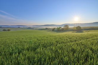 A picturesque sunrise over a wide green field and a gentle hilly landscape, Mönchberg, Mltenberg,