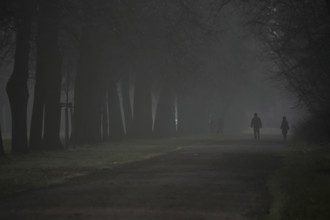 Morning fog in winter, Germany, Europe