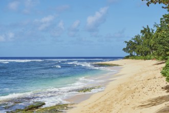 Landsape of the Sunset Beach on Oahu, North Shore, Hawaiian Island Oahu, O?ahu, Hawaii, Aloha