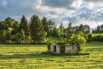 Dilapidated ruin of a stone hut on a freshly mown meadow in the evening light, Swabian Alb,