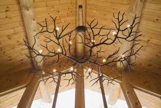 Illuminated deer antlers chandelier hanging from high cathedral knotty pine wood planks ceiling