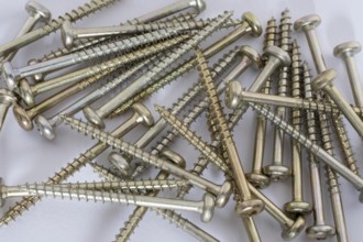 Phillips screws on a white background, wood screws