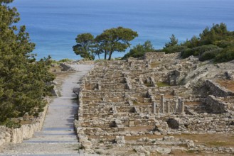 Ancient ruins along a stony path with trees and sea in the background, Hellenistic houses, Kamiros,