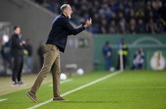 Coach Coach Pellegrino Matarazzo TSG 1899 Hoffenheim on the sidelines Gesture gesture behind Coach