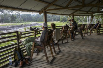 Tourists observe forest elephants (Loxodonta cyclotis) in the Dzanga Bai forest clearing,