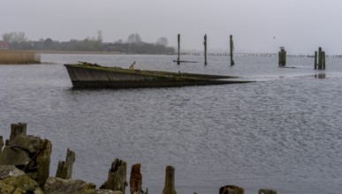 Ship's bow in the Bodden, Dranske, Rügen, Mecklenburg-Western Pomerania, Germany, Europe