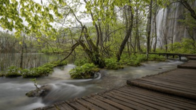 Wooden footbridge in Plitvice Lakes National Park, Plitvicka Jezera, Lika-Senj, Croatia, Europe