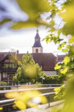View of a church and houses in the village surrounded by trees on a sunny day, Nagold, Black