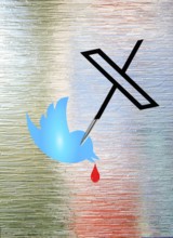 Symbol image, Network-X stabs Twitter, Elon Musk, Socialmedia, Hate speech, Free speech, Glamour