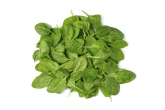 A pile of fresh spinach leaves on a clean white background, ready for use in salads, smoothies, or