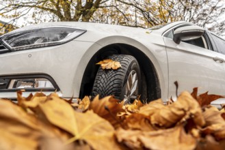 Driving on autumn leaves, slippery surfaces, leaves, grip from winter tyres