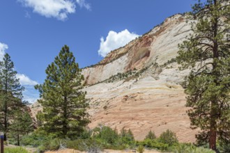 Blind arch on the side of a rock formation in the Checkerboard Mesa area of Zion National Park,