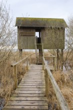 Schnakenburg observation tower on the eastern bank of the Müritz, Müritz National Park, Mecklenburg