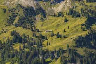 Obere Lugen Alpe in the Oytal valley below the Hahnenköpfl, Allgäu Alps, Allgäu, Bavaria, Germany,